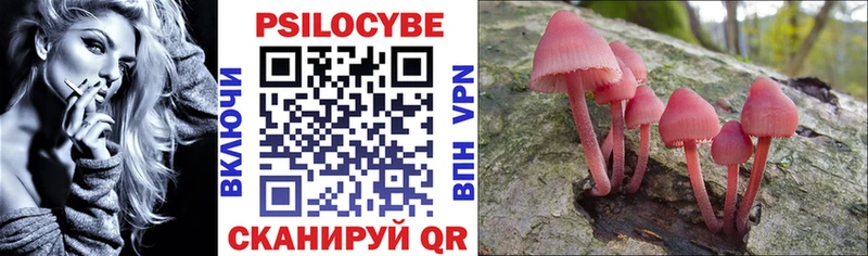 Галлюциногенные грибы Psilocybe  Норильск 