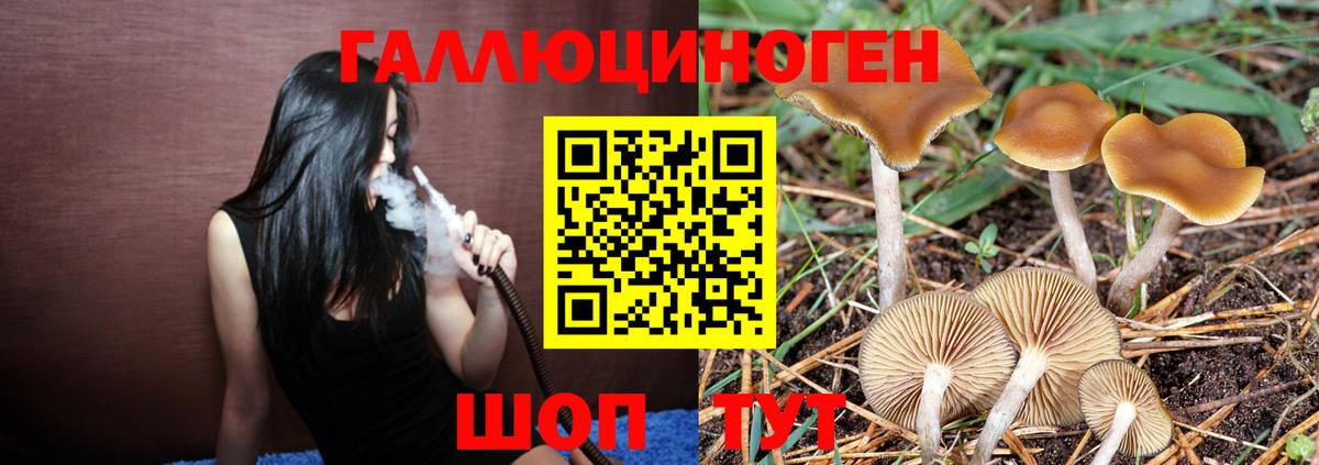 Галлюциногенные грибы мухоморы Норильск