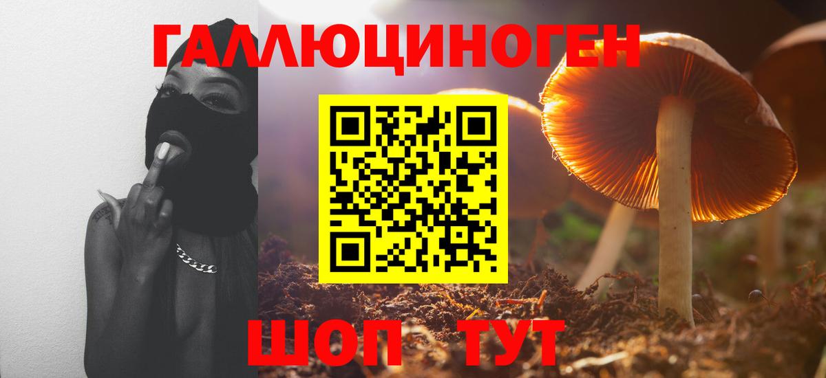 Псилоцибиновые грибы Magic Shrooms  Псилоцибиновые грибы MAGIC MUSHROOMS  Норильск  Вход с VPN 